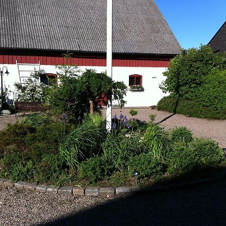 Mattisgarden Bed & Breakfast Östra Ljungby Zewnętrze zdjęcie