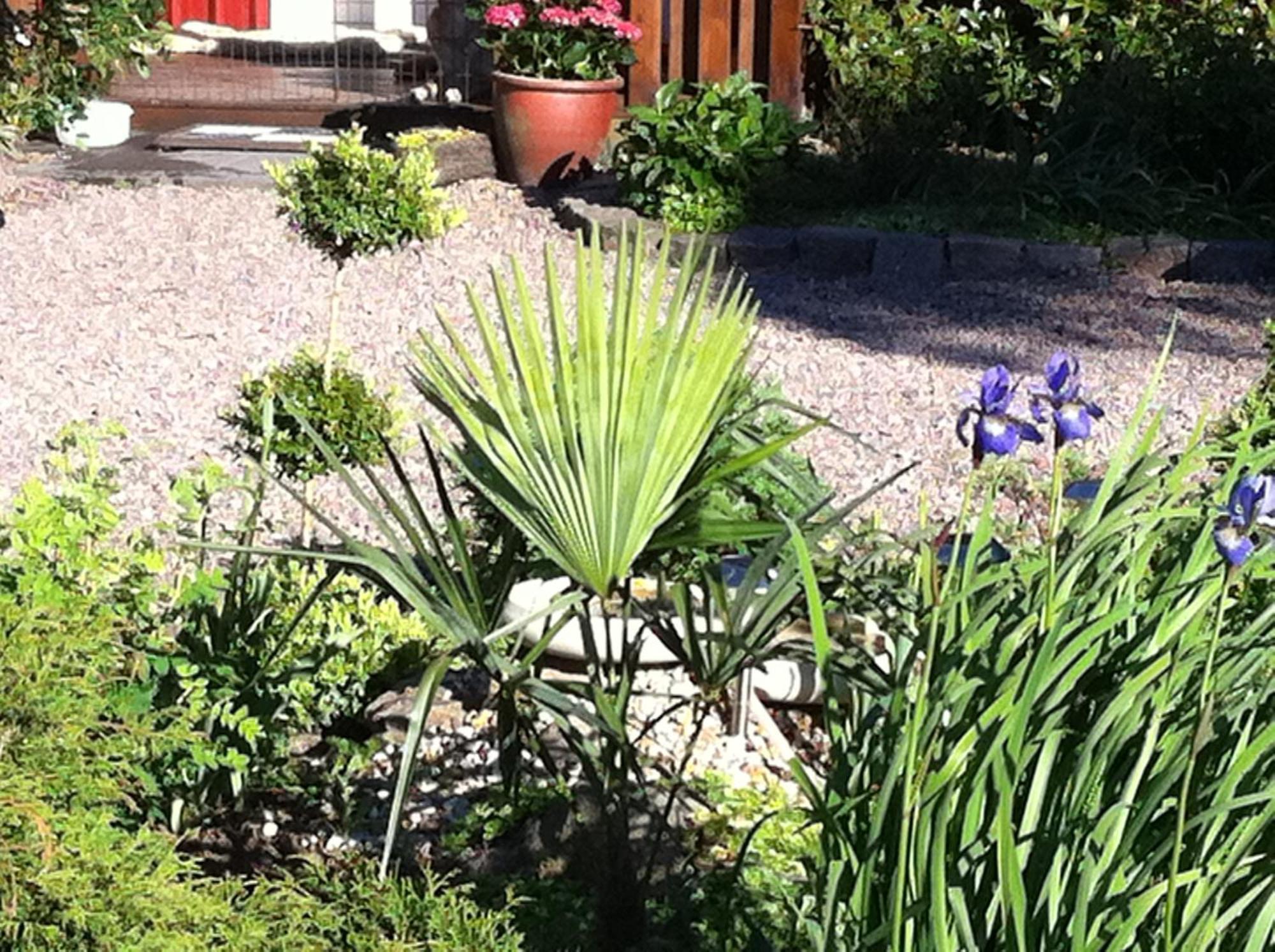 Mattisgarden Bed & Breakfast Östra Ljungby Zewnętrze zdjęcie