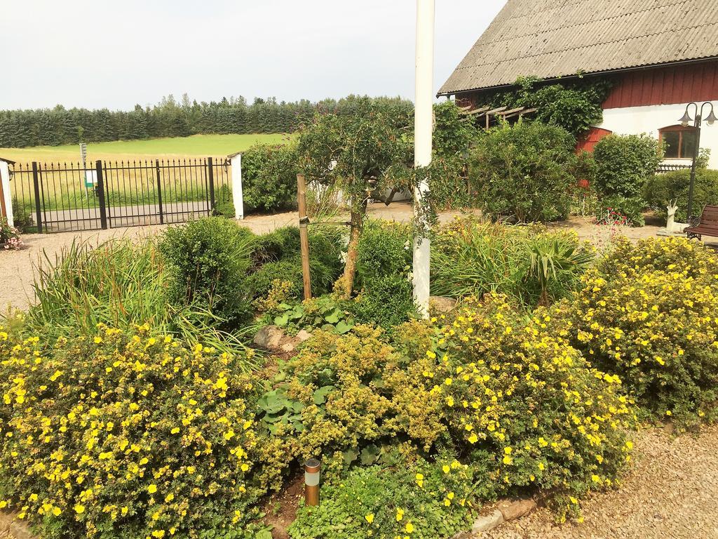 Mattisgarden Bed & Breakfast Östra Ljungby Zewnętrze zdjęcie