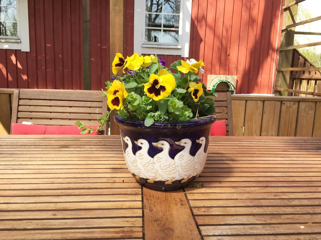 Mattisgarden Bed & Breakfast Östra Ljungby Zewnętrze zdjęcie