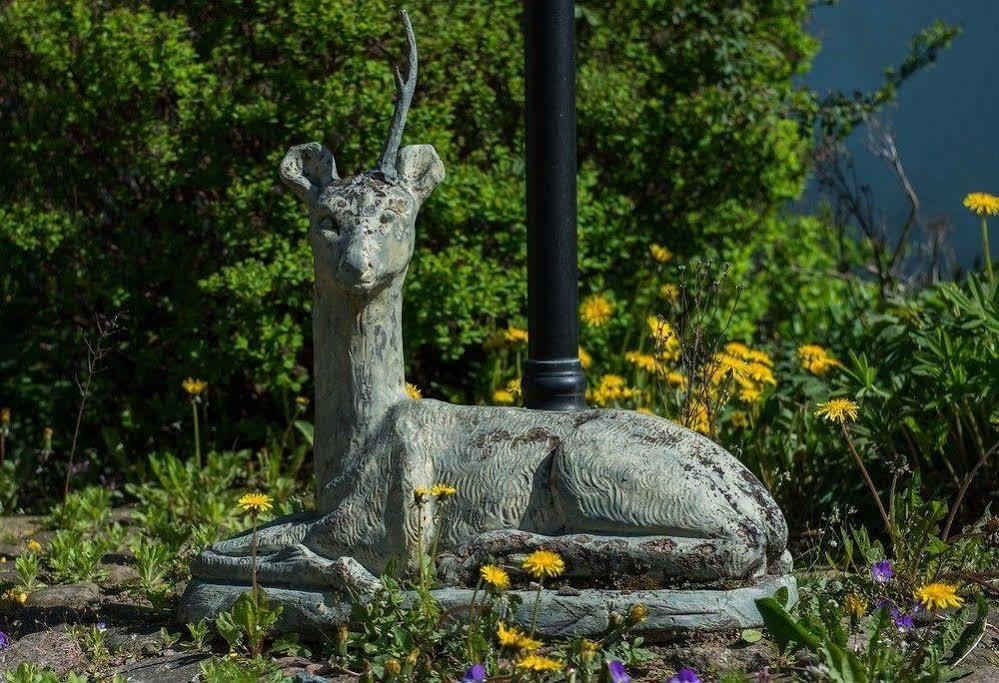 Mattisgarden Bed & Breakfast Östra Ljungby Zewnętrze zdjęcie